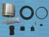 AUTOFREN SEINSA D42002C Repair Kit, brake caliper